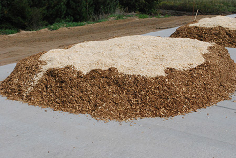 Wood shavings and chips on a compost pile