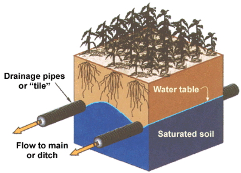 Subsurface drainage pipes