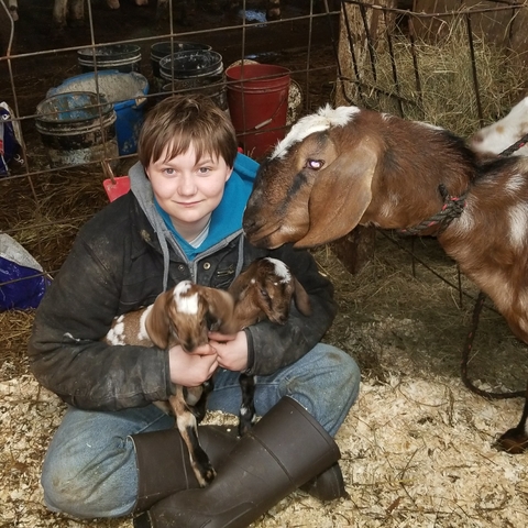 Alaina with her goats