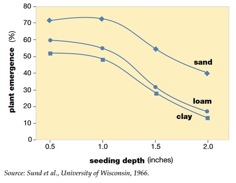 line graph of declining alfalfa emergence with seeding depth by soil type