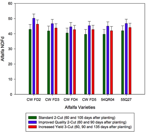 Figure depicting the effect of alfalfa varieties and cutting management on neutral detergent fiber digestibility. Alfalfa varieties in the improved quality two-cut regimen, with cutting 90 days after planting, had increased NDFD values compared to the standard two-cut and three-cut systems.