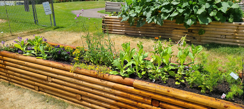 Raised garden bed made of wood in a grassy area with other gardens in the background.