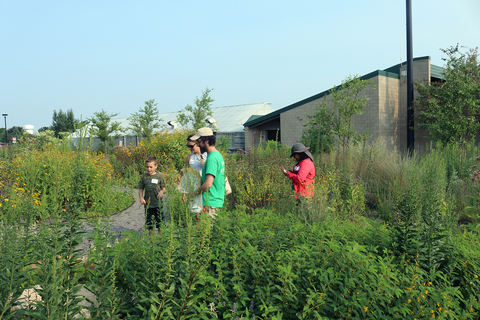 Four people walking in the University of Minnesota Bee Lab gardens. 