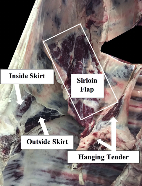 Side of beef with Inside Skirt, Outside Skirt, Sirloin Flap and Hanging Tender marked with text and arrows.