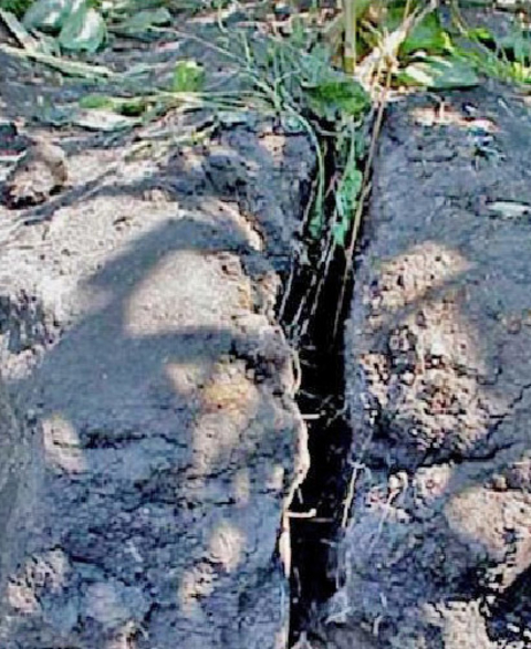 dry soil with a deep crack in it.