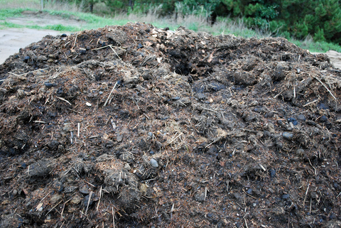 Crack at the peak of a compost pile.