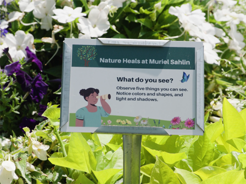 A sign in a garden the says "Nature heals at Muriel Sahlin. What do you see? Observe five things you can see. Notice colors and shapes, light and shadows.""