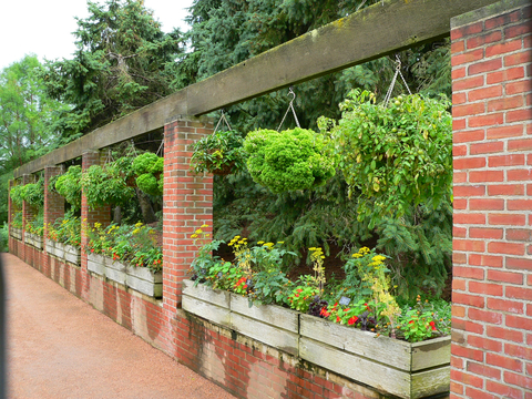 Containerized wooden raised garden beds in between brick columns along a pathway
