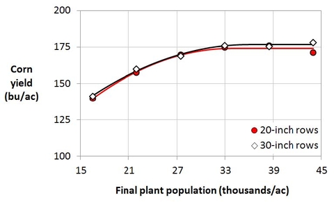 Graph with corn yield on y-axis and plant population on x-axis.  There are 2 lines, 20 row spacing and 30 row spacing. they are almost on top of each other. The graph trends up, leveling off at 175 bushels at 33,000 plants per acre