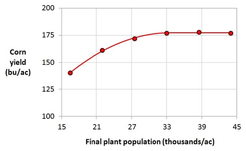 Graph with corn yield on the y-axis and final plant population on x-axis.  Corn yield levels out at slightly over 175 with a plant population of 33,000 per acre