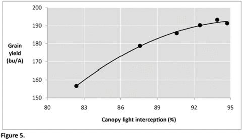 Graph with corn yield on y-axis and % canopy light interception on x axis, line trends up, peaking at 190 bushels at 97% light intereception.