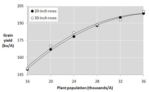 Graph with corn yield on y-axis and plant population on x-axis.  Two lines(20 inch and 30 inch rows) run parallel and trend up, ending at around 200 bushels at 36,000 plants per acres