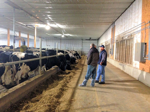 Two people standing in a long aisle in a modern dairy barn