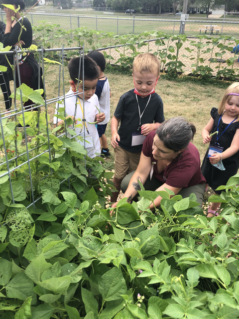Dakota County Master Gardener volunteer teaching children in garden.