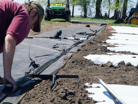 A man is installing irrigation drip tape along side a tilled area.