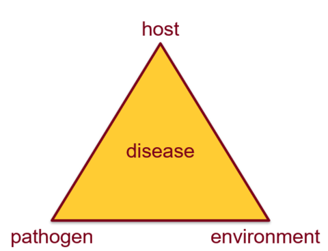 Triangle with the word 'disease' in the middle and the words 'host' at the top point, environment at the bottom right point, and 'pathogen' at the lower left point.
