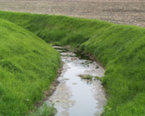 Drainage ditch