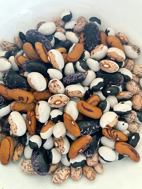 A variety of dry beans in a white bowl.