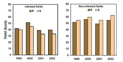 SCN-resistant and susceptible yield comparisons