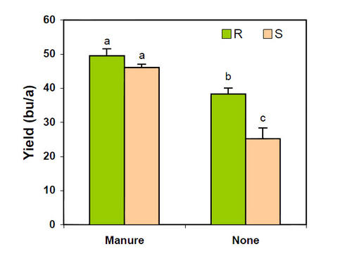 graph of manure use with SCN management