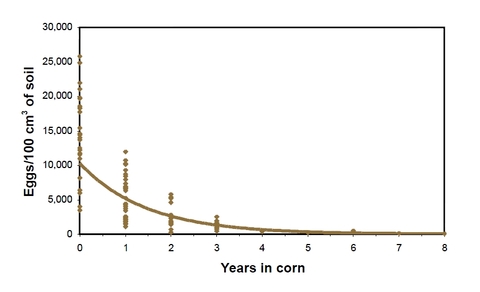 SCN decline in corn