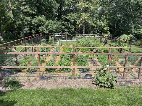 Large vegetable garden surrounded by a wooden fence. Rows alternate between mounded beds with soil and vegetables, and walking areas in between each bed filled with straw. A lawn surrounds the garden with trees in the background.