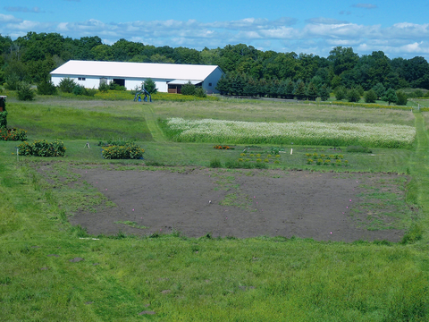 Large field plot of dirt with sparse patches of plant life with a barn in the background.