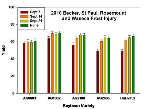 bar graph illustrating soybean maturity and effects of frost.