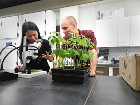 Two people in lab with plants and microscope