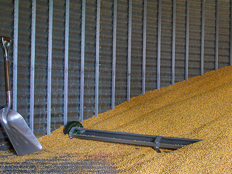 Inside a grain bin with corn. There is a shovel and another metal bar in the corn.