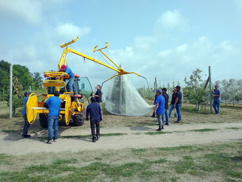 A group of workers use a hail netting machine to remove netting from an orchard.
