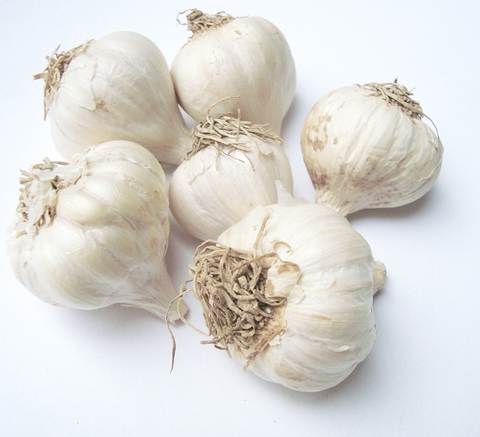 White harvested garlic bulbs