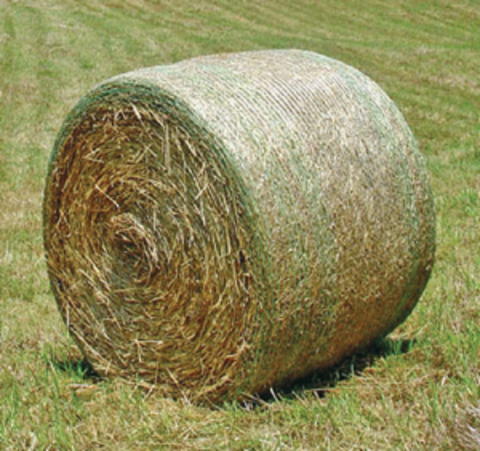 Net wrapped round bale