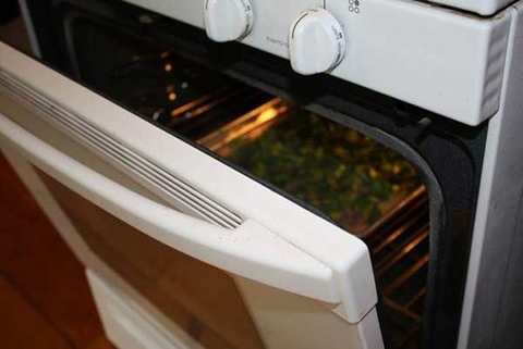 Oven drying herbs with door open.