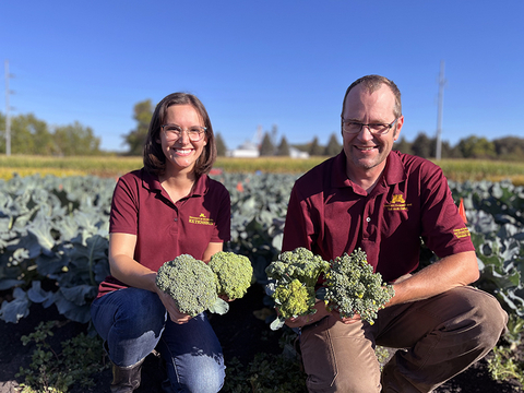 Researchers Natalie Hoidal and Charlie Rohwer in a field of broccoli. Each of them hold heads of broccoli in their hands.