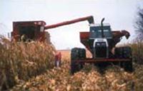 tractor and grain cart harvesting corn.