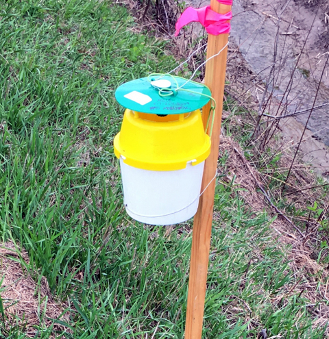 Plastic container with a complex lid attached to a wooden stake in the ground.