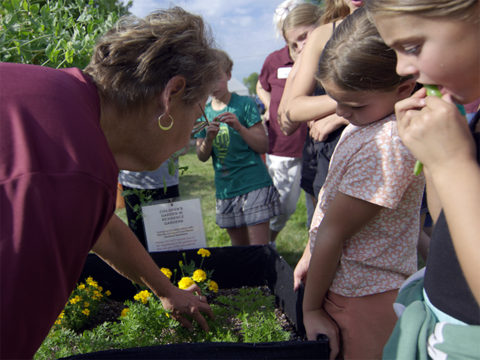 A woman points to plants in a raised bed as a group of children look on.