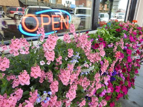 Open sign in window with colorful flowers below the window.