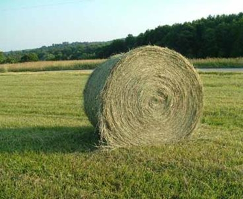 A large round bale