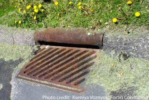 A curb of a road with a storm drain surrounding by grass clippings.