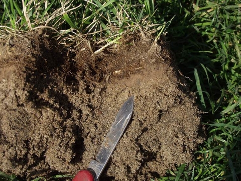 A pocket knife on top of recently dug soil from a lawn.