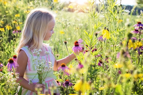 little girl in a field, holding a flower