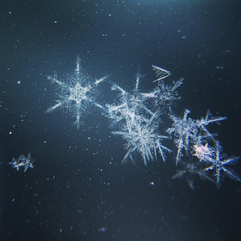 Close up image of snowflakes