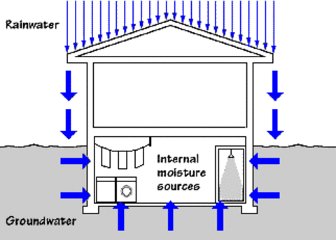 Moisture problems in basement, rainwater, groundwater, interior moisture.