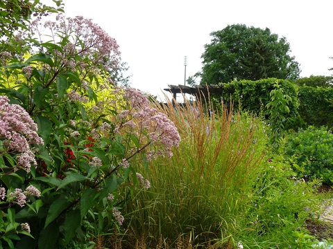Landscape with many different grasses and shrubs