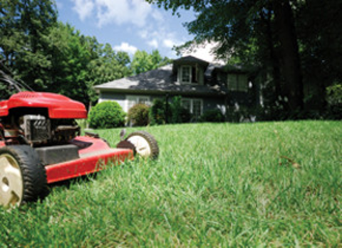 Lawn mower on lawn in suburban yard.