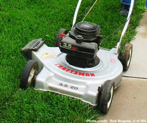 Rotary mower mowing a green lawn.