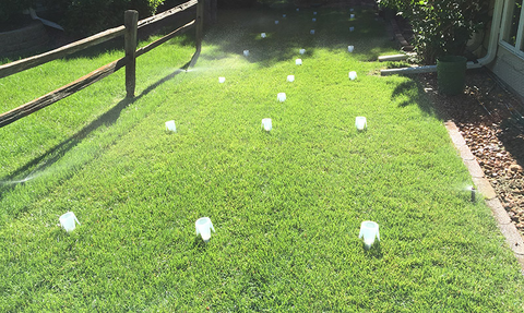 A home lawn with plastic catch cans placed in a grid pattern to catch irrigation water.