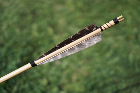 A close up of an arrow feather